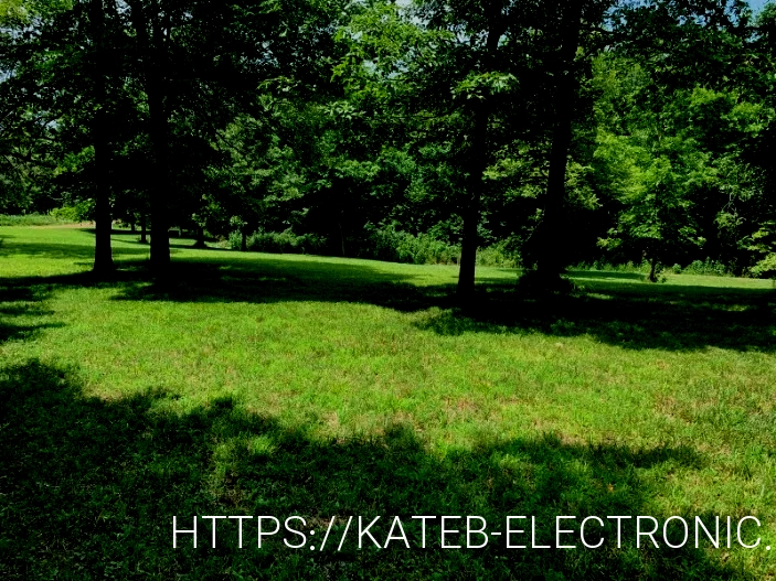 house with acreage for sale